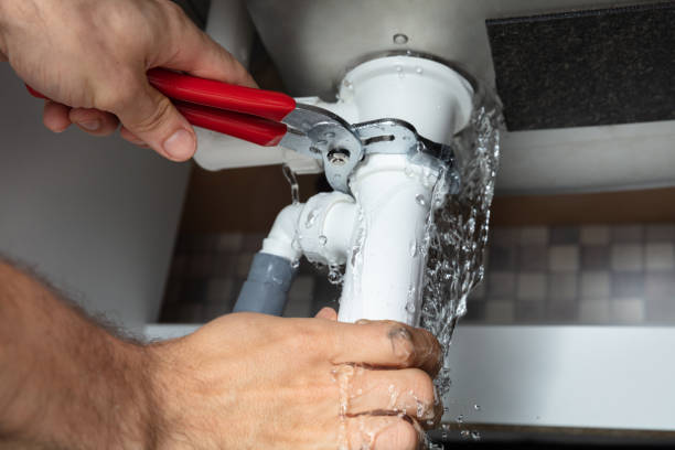 Best Mold removal after water damage  in Hanna City, IL
