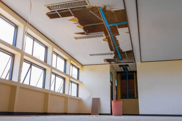 Best Carpet water damage restoration  in Hanna City, IL