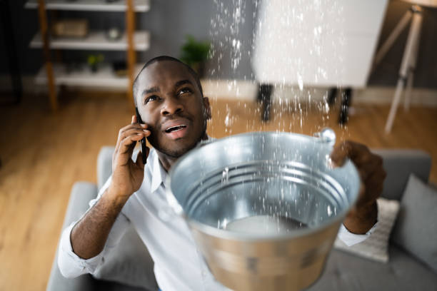 Best Residential water damage restoration  in Hanna City, IL