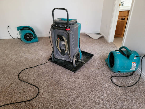 Sewage cleanup and water damage restoration in IL