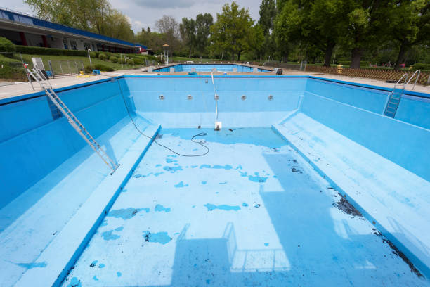 Best Water damage restoration specialists  in Hanna City, IL
