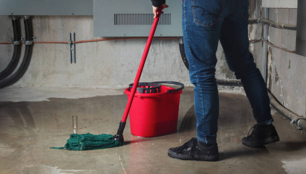Best Basement water damage restoration  in Hanna City, IL