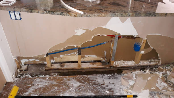 Best Professional water damage repair  in Hanna City, IL
