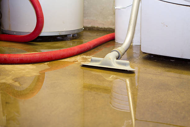 Best Flood restoration services  in Hanna City, IL