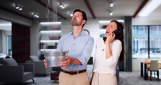 Best Ceiling water damage repair  in Hanna City, IL