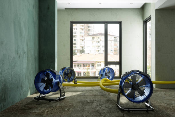 Best Water damage contractors near me  in Hanna City, IL